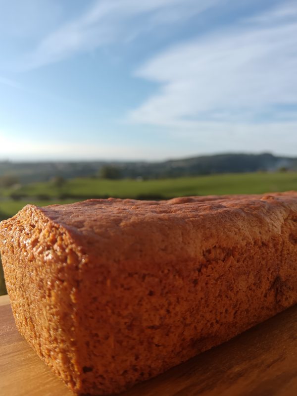 1000026383 Pain d’Épices Traditionnel